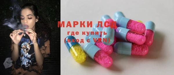 индика Нефтекумск