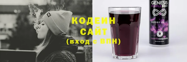 индика Нефтекумск