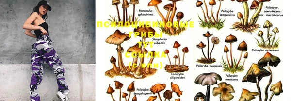 круглые Михайловка