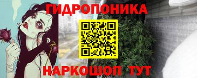 прущие грибы Балаково