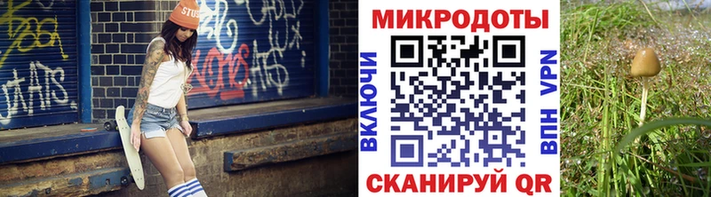 купить   Лесозаводск  Галлюциногенные грибы мухоморы 