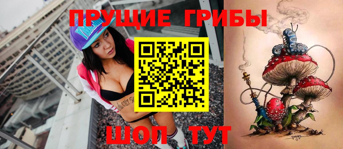Псилоцибиновые грибы GOLDEN TEACHER  Псилоцибиновые грибы Psilocybine cubensis  Лесозаводск  Вход с VPN 
