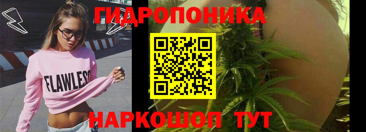 Бошки марихуана Ganja Лесозаводск